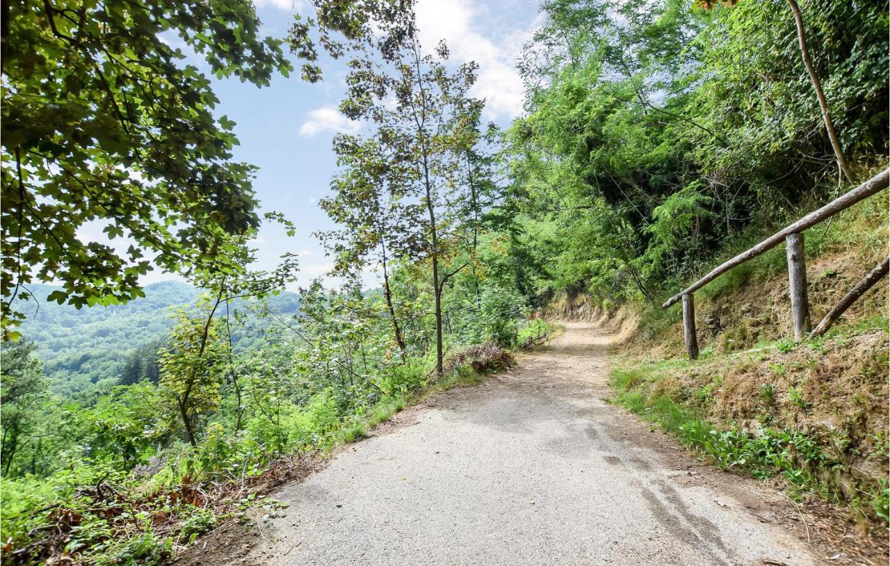 Stunning Home In Longoio With Kitchen Monti di Villa エクステリア 写真